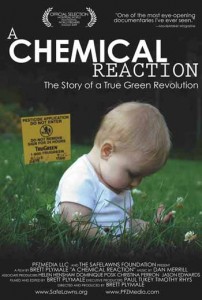A Chemical Reaction A Chemical Reaction