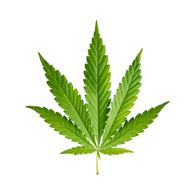 weed